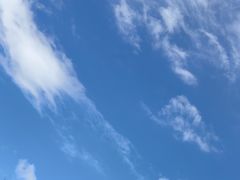 -亚龙湾热带天堂森林公园