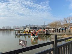 -上海长兴岛郊野公园