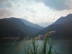 -西江河鲜·趣苑酒楼(鼎湖店)