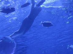 -天山海世界·米立方