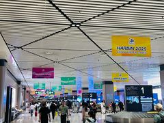 -哈尔滨太平国际机场-T2航站楼