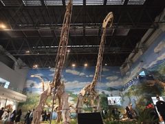 -自贡恐龙博物馆