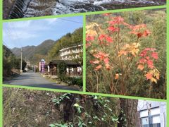 -太湖源风景区