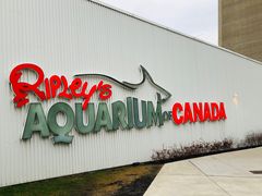 -瑞普利水族馆