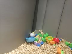 -龙格亲子游泳·水育早教运动中心(绿城店)