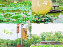 -北陵公园