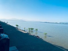-深圳湾公园(南山区)