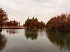 -尚贤河湿地