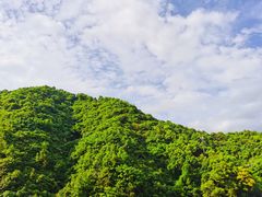 -宁海安岚·南溪阁全日餐厅