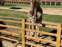 -鄂尔多斯野生动物园