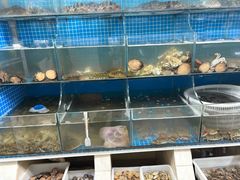 -宾朋海鲜特色美食餐厅·纯手工鲅鱼水饺(兴海路店)