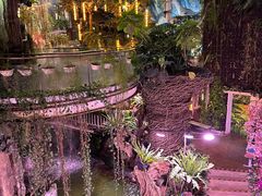 -正佳雨林生态植物园