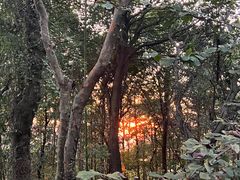 -游子山休闲旅游区