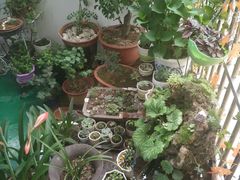 -臭鳜鱼人家·老字号徽菜