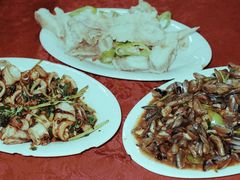 -蛇口康乐快餐鱼仔档(翠苑小区店)
