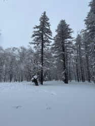 -大秃顶子山