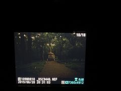 -灵谷景区