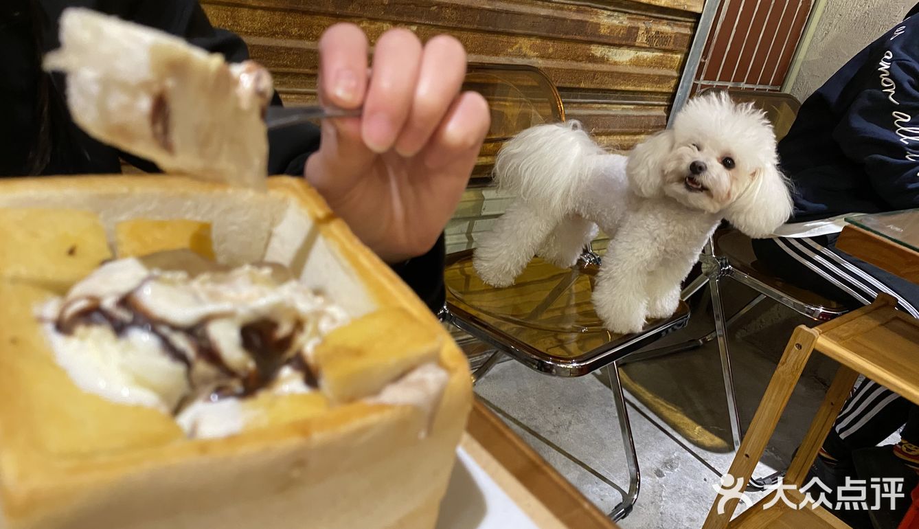 各种各样的菜品的质量也绝对是没得挑尤其是他家的特色