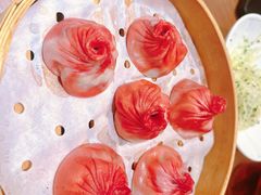 -苏小柳点心·手作小笼包(新世界新丸中心店)