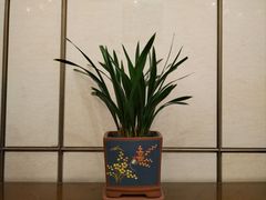 -梦都海鲜酒家(万达广场江桥店)