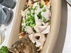 -鑫嘉汇购物中心