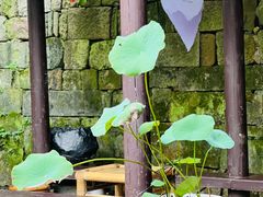 -Metal hands·铁手咖啡