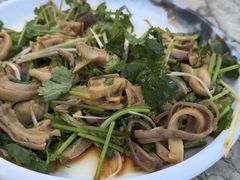 -鲤鱼塘农家山庄