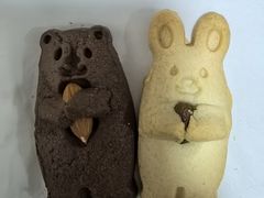 -红星前进面包牛奶公司(畅春园店)