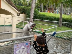 -三亚亚龙湾天域度假酒店