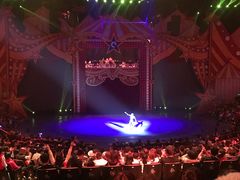 -珠海横琴长隆《卡卡虎奇遇记》