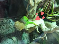 -海合安武汉极地海洋公园