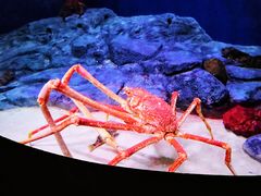 -新加坡海洋生态馆