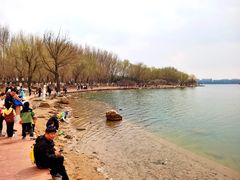 -丁香湖公园