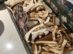 -芸山季·云南山珍菌火锅(南翔印象城MEGA店)