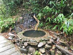 -九龙江国家森林公园