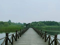 -溱湖国家湿地公园
