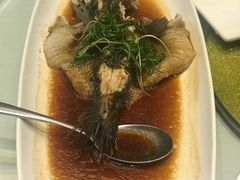 清蒸笋壳鱼-宝燕壹号(徐汇店)