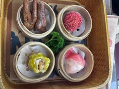 -广州都市观光巴士(粤陶巴)