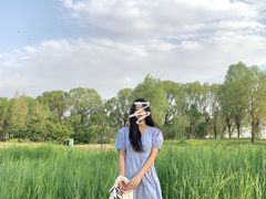 -潇河湿地公园