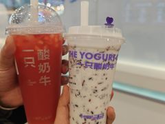 -一只酸奶牛(洪崖洞11楼店)