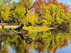 -上海共青森林公园