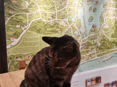 -猫的天空之城概念书店(杭州南宋御街店)