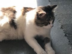 -五月木作·DIY木作文创体验店(北京路店)