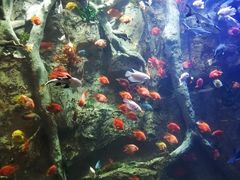 -杭州开元森泊度假乐园