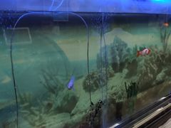 -德全心悦酒店(北京金台路地铁站店)