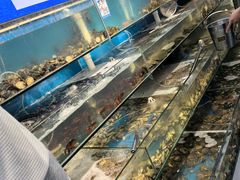 -仙螺岛海鲜自助餐厅(总店)