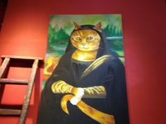 -猫色咖啡·猫咖