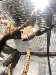 -Zoolung Zoolung动物主题公园(海信广场店)