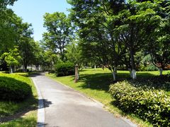 -良渚文化村