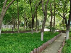 -康庄公园